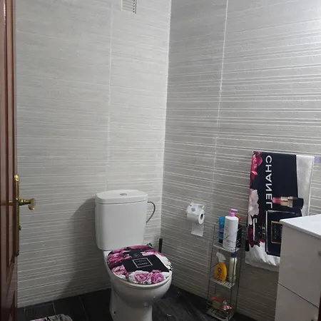 Park Arena 圣米格尔德阿沃纳